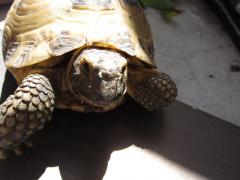 IMAGE00000000.jpg