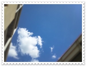 the sum_sky2_2012