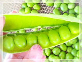 green peas2