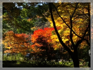 bishamon1_2012.jpg
