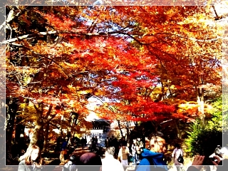 bishamon2_sh70_2012.jpg