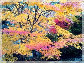 bishamon3_sh90_2012.jpg