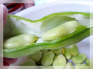 soramame1.jpg