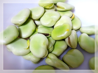 soramame3.jpg