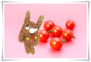 tubtub_strap1_tomato.jpg