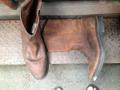 1 red wing
