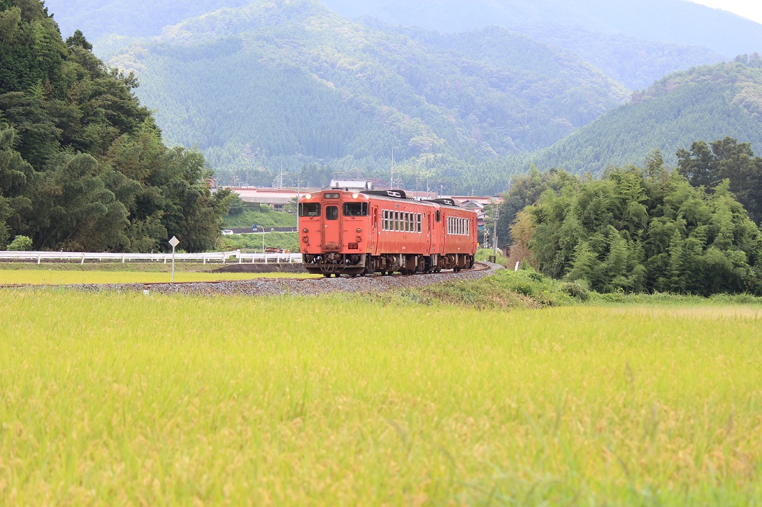 yamaguti23.jpg
