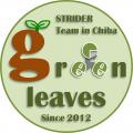 R_Team logo final2