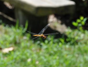 2011_09_07_02.jpg