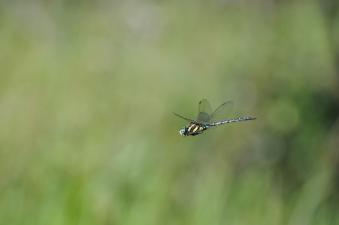 2011_09_07_03.jpg