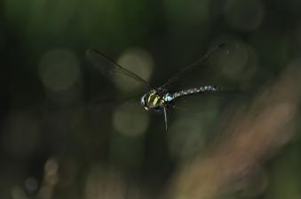 2011_09_07_05.jpg