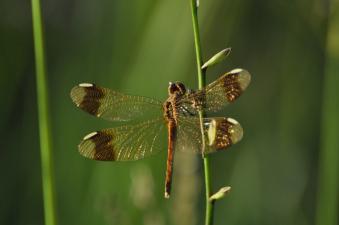 2011_09_07_07.jpg