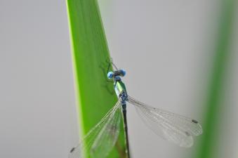 2011_09_10_01.jpg