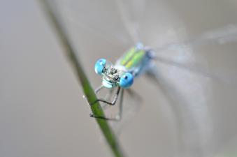 2011_09_10_02.jpg