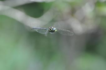 2011_09_10_06.jpg
