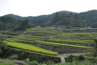 2011_09_10_10.jpg