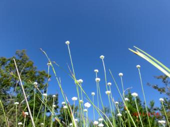 2011_09_15_04.jpg