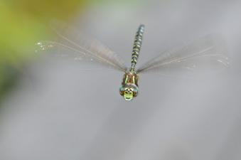 2011_09_15_10.jpg