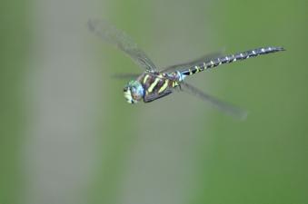 2011_09_15_11.jpg