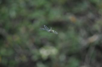 2011_09_15_15.jpg