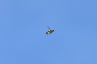 2011_09_19_06.jpg