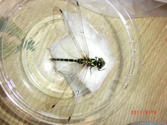 2011_09_19_09.jpg