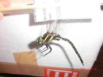 2011_09_19_10.jpg
