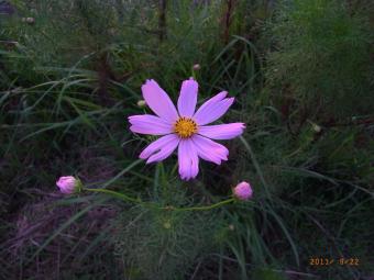 2011_09_22_02.jpg