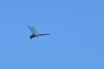 2011_09_28_03.jpg