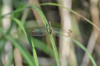 2011_10_18_04.jpg