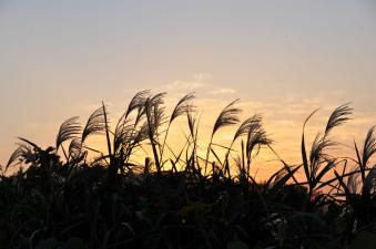 2011_10_28_02.jpg