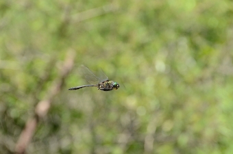 2014_09_14_03.jpg