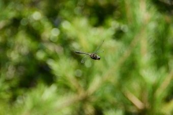 2014_09_14_04.jpg