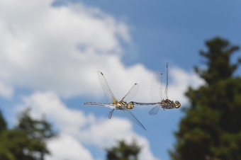 2014_09_23_10.jpg