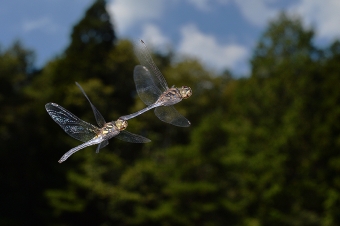 2014_09_23_11.jpg