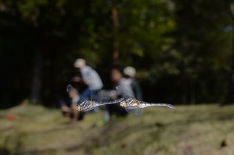 2014_09_23_12.jpg