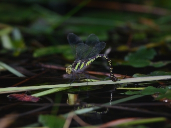 2014_09_26_04.jpg