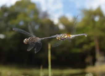 2014_09_26_08.jpg