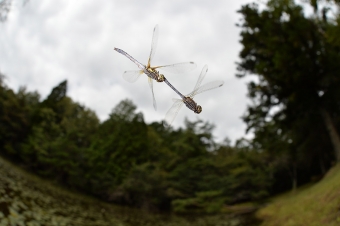 2014_09_26_10.jpg