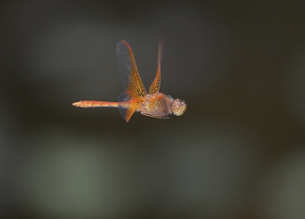 2014_09_26_13.jpg