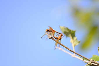 2014_09_28_02.jpg