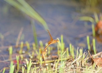 2014_09_28_05.jpg
