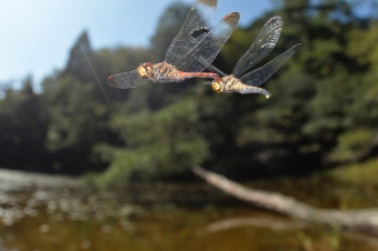 2014_09_30_01.jpg