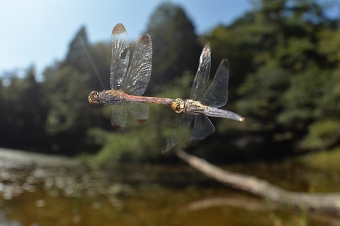 2014_09_30_02.jpg