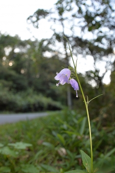 2014_10_07_111.jpg