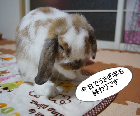 DSC02115.jpg