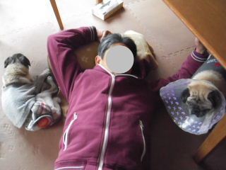 2013_1125hiro0003b.jpg