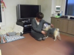 2013_1125hiro0006b.jpg