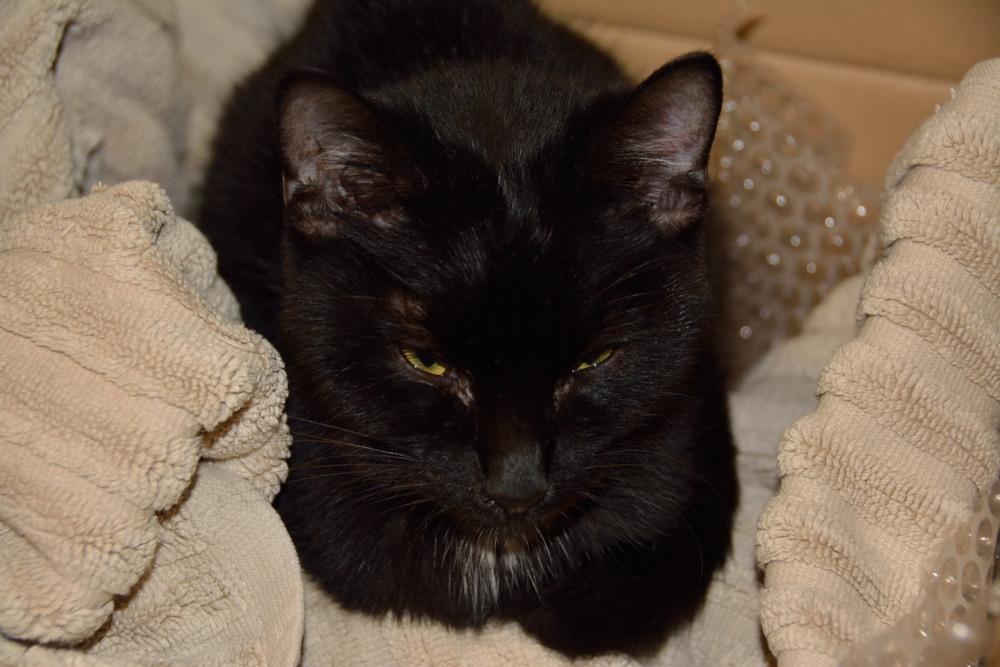 DSC_0081.jpg