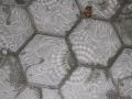 102_0257_convert_20120405230749.jpg
